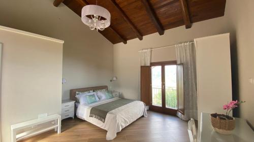 蒙泰科里切Tenuta Belvedere Cilento的一间卧室设有一张床、一个窗户和一个吊灯。