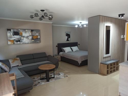 拉夫达AMARA-BOUTIQUE & DESIGN - Студио的客厅配有沙发和1张床