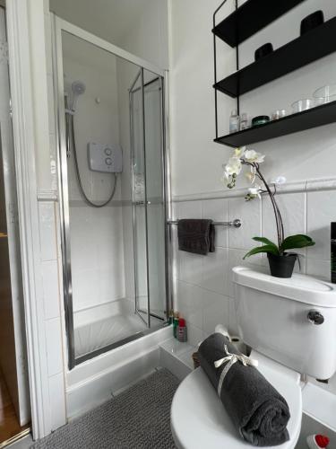 科克Lovely apartment in Cork的一间带卫生间和玻璃淋浴间的浴室