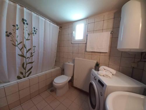 马莱迈Casa Constans的浴室配有卫生间水槽和洗衣机。