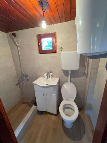 波德戈里察Wooden House的一间带卫生间和水槽的小浴室
