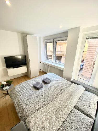 乌迪内[Udine Centro] • NEW • Appartamento Moderno的一间卧室设有一张大床和一个大窗户