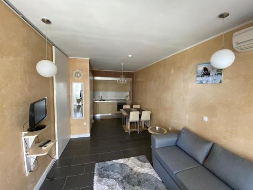 奥布佐尔Yoo Bulgaria Apartments -c306的客厅配有蓝色的沙发和电视