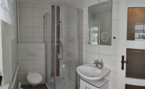 库罗阿尔滕堡Ferienwohnung Zum Ausblick的带淋浴、盥洗盆和卫生间的浴室