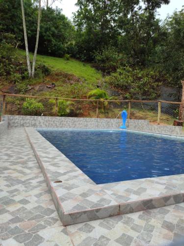 多明戈斯马丁斯Sítio e Pousada Vista Verde的游泳池中间设有喷泉