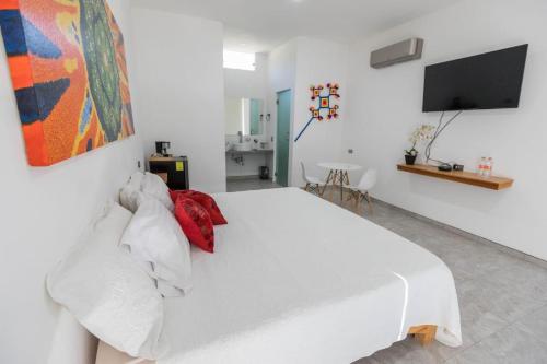 圣玛丽戴尔奥罗Hotel Lucero Chan的卧室配有白色的床和平面电视。