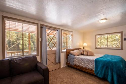 佩森Hideaway forest cabin 9 Squirrels Den的一间卧室配有一张床、一张沙发和窗户。