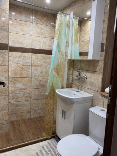 卡尔洛沃Rose的浴室配有卫生间、淋浴和盥洗盆。