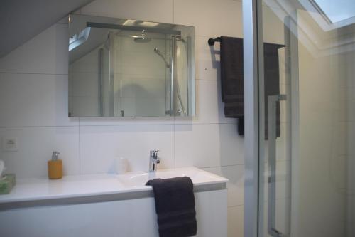 佩尔Huize Clementina的一间带水槽和镜子的浴室