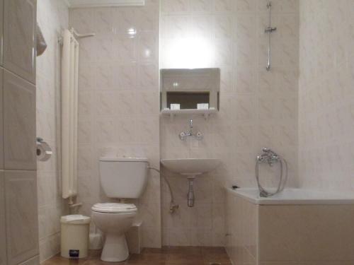 索非亚保加利亚科学院酒店的白色的浴室设有卫生间和水槽。