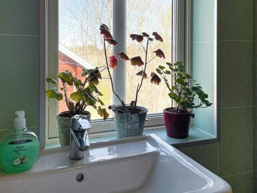 阿尔博加Holiday home ARBOGA II的浴室水槽,窗户上放有三盆植物