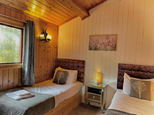 卡马森The Stag & Squirrel Lodge的一间卧室设有两张床和窗户。