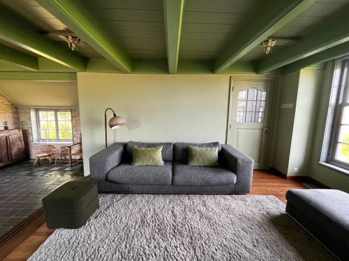 登堡Zuid Haffel的带沙发和地毯的客厅