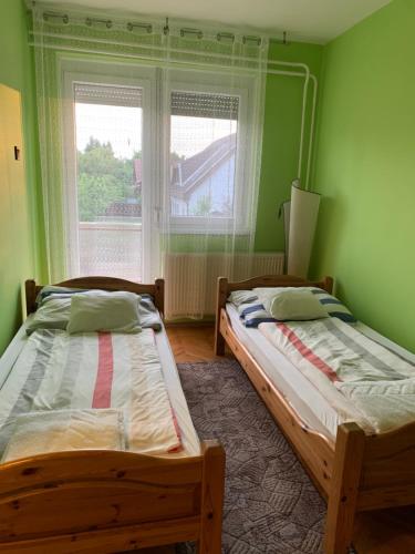 索尔沃什Malom Vendégház的绿色客房 - 带两张单人床和窗户