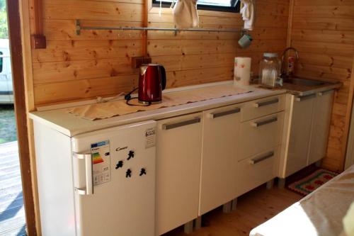 DechticeV dedine a predsa mimo nej v maringotke na samote的厨房配有柜台和冰箱。
