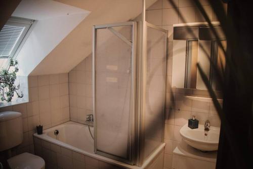 新乌尔姆Tolle Wohnung in zentraler Lage in Neu-Ulm的带淋浴和盥洗盆的浴室