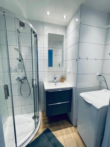 格丁尼亚Gdynia Centrum的带淋浴和盥洗盆的浴室