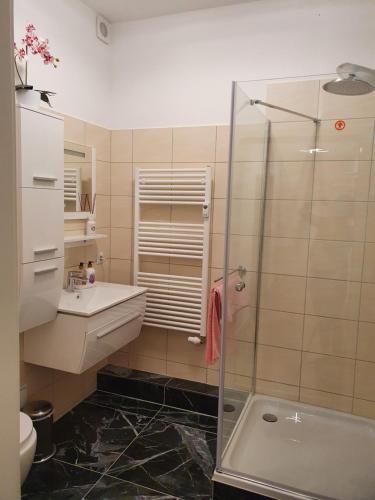安娜贝格-布赫霍尔茨Da Rebelo (Ferienwohnung)的带淋浴和盥洗盆的浴室