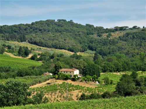Pian dei CerriHoliday Home Villa Magna by Interhome的田野中间的山丘上的房子