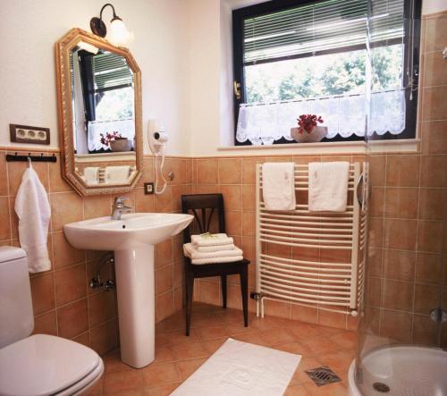 布莱德布雷达公寓的一间带水槽、卫生间和镜子的浴室