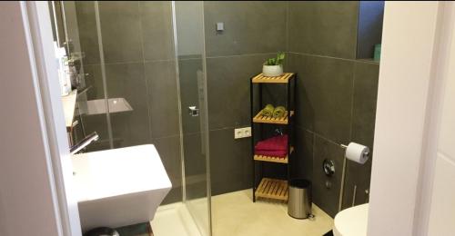 科隆Apartment mit schöner, moderner Einrichtung的带淋浴、卫生间和盥洗盆的浴室