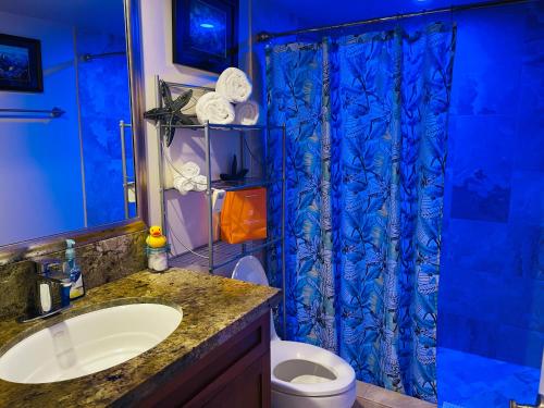 科纳科纳马吉克霍努民宿的浴室配有蓝色的浴帘和卫生间