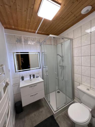 莱鲁斯Magnifique Studio de 20m2 pour 1 à 4 personnes的带淋浴、卫生间和盥洗盆的浴室