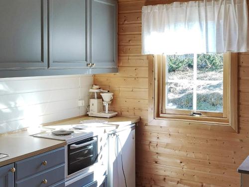 TranøyaHoliday home Tranøy的厨房设有木墙、窗户和炉灶。
