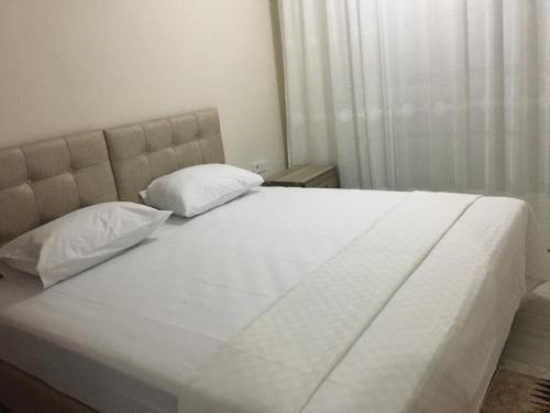 恰纳卡莱Geyikli Lotus Apart的一张带两个枕头的大白色床