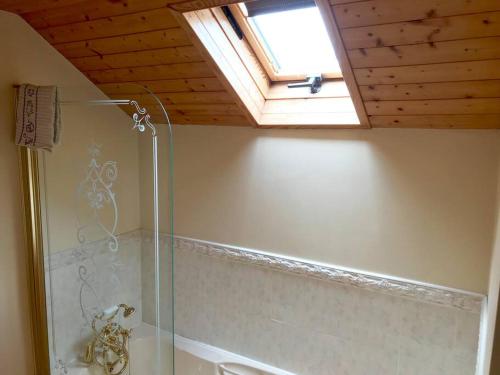 卡文Dan Rua's Cottage的带淋浴和天窗的浴室