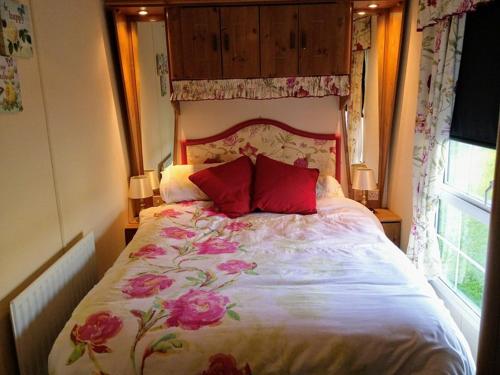 阿兴顿Cosy Cottage Caravan的一间卧室配有一张带红色枕头的床和一扇窗户