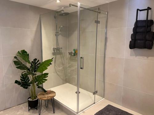海牙Boutique Hotel Ravioli Brothers的浴室内装有植物的玻璃淋浴间