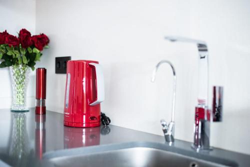 阿利坎特Casita Rosa的一个带红色搅拌机和红色玫瑰的厨房台
