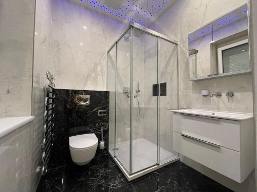 林茨Exklusive Wohnung的带淋浴、卫生间和盥洗盆的浴室
