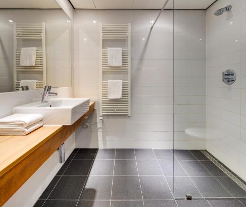 皮滕Fletcher Hotel-Restaurant Mooi Veluwe的一间带水槽和淋浴的浴室
