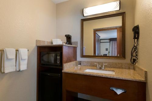 奥兰多罗森酒店的一间浴室