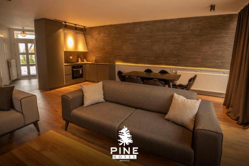 布雷佐维察Pine Villas Brezovice的客厅配有沙发和桌子