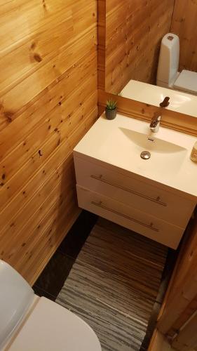 TimeOne-room cabin without shower的一间带水槽和卫生间的浴室