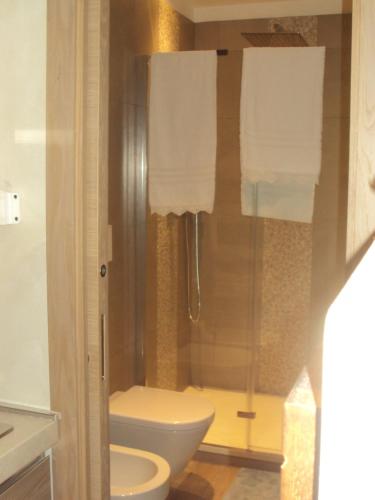 LivataCasa nel bosco的浴室设有卫生间和带毛巾的淋浴。