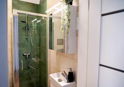 格丁尼亚Valdi Apartament的带淋浴、卫生间和盥洗盆的浴室