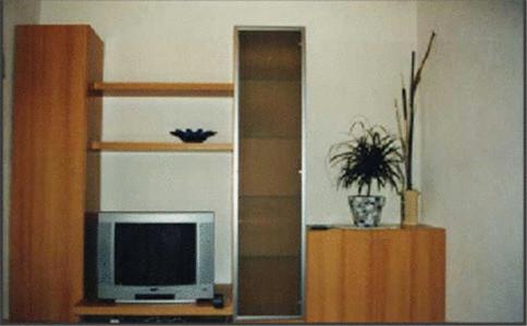 利恩茨Ferienwohnung Jeller的一间带电视和书架的客厅