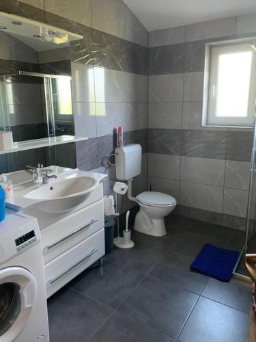 罗波里卡Pula Apartment E&E的一间带水槽、卫生间和镜子的浴室