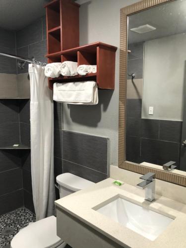 尼斯维尔Budget Inn Valparaiso/Niceville @ Eglin AFB & Destin-FWB Airport的一间带水槽、卫生间和镜子的浴室