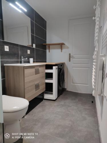 贝尔热拉克Appartement de charme en plein coeur de Bergerac的一间带水槽和洗衣机的浴室。