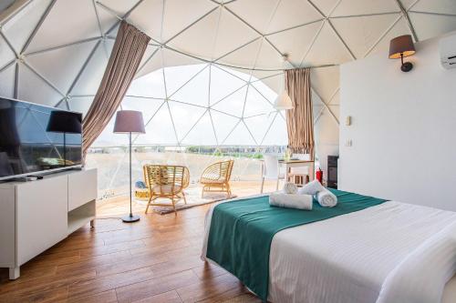 特吉塞Eslanzarote Eco Dome Experience的圆顶帐篷内的卧室配有1张床和电视