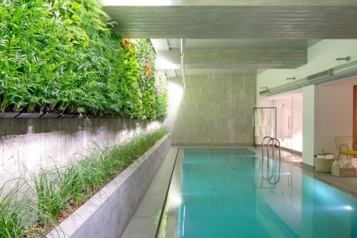 雅典COCO-MAT Athens Jumelle的墙上种植植物的室内游泳池