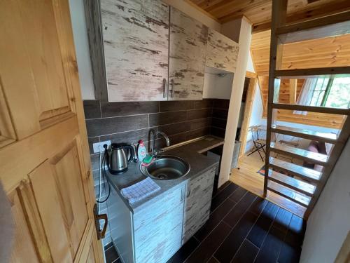 扎布利亚克Dormire Apartmans的一个小房子里一个带水槽的厨房