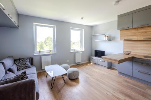 奥普尔Apartment Natura Vision的客厅配有沙发和桌子