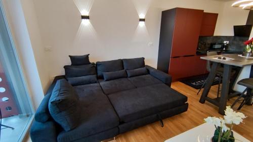 斯洛文尼亚格拉代茨Apartment Ozare的客厅配有黑色沙发和桌子