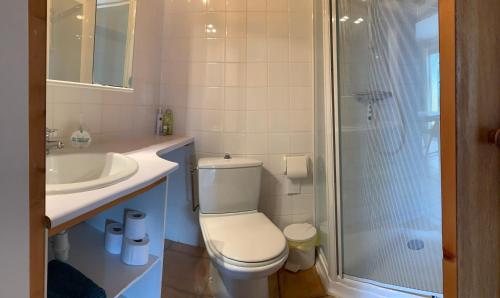 Saint-Jean-de-MinervoisTiny House Belleraze的浴室配有卫生间、盥洗盆和淋浴。